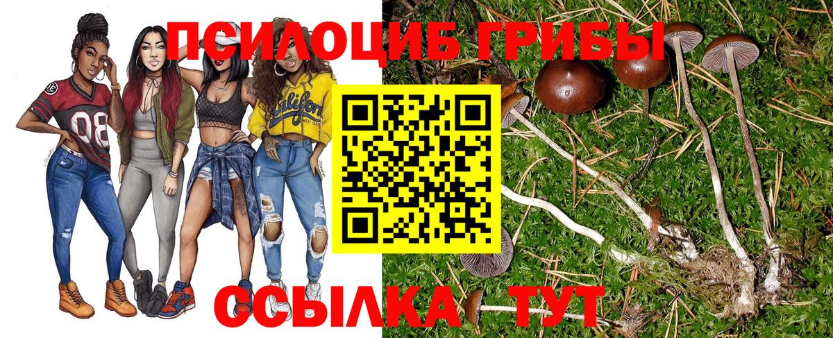купить наркоту  Вход с VPN  Миасс  Галлюциногенные грибы прущие грибы 