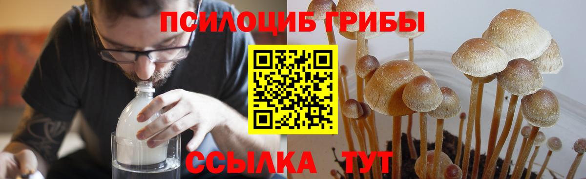 Галлюциногенные грибы Magic Shrooms Миасс